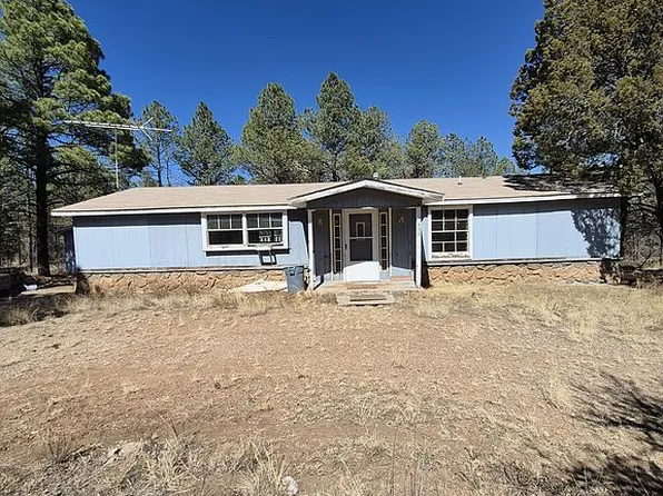 111 Winter Ln, Timberon, NM 88350