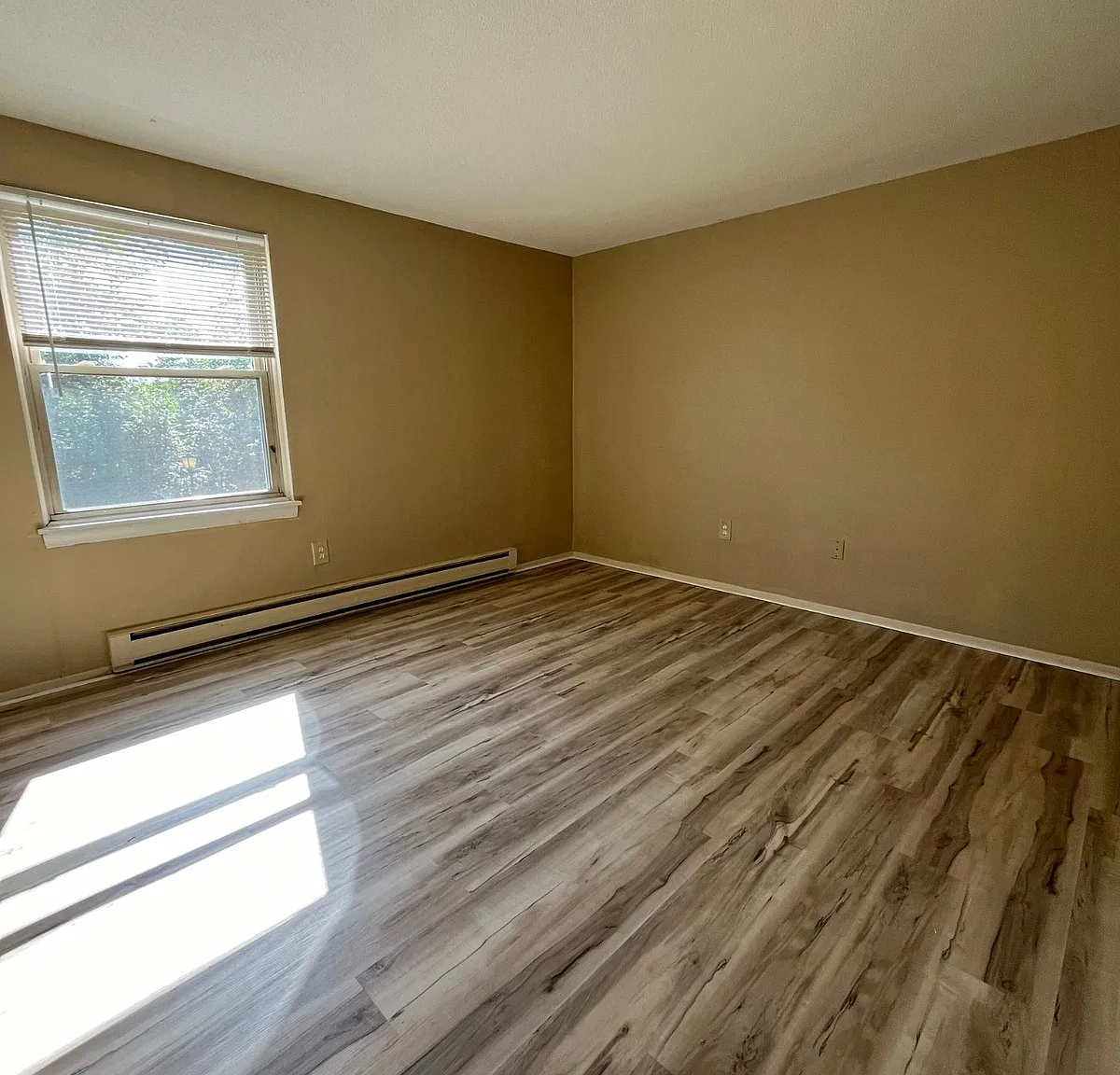 1 bed, 600 sqft, $1,350 — Photo 4