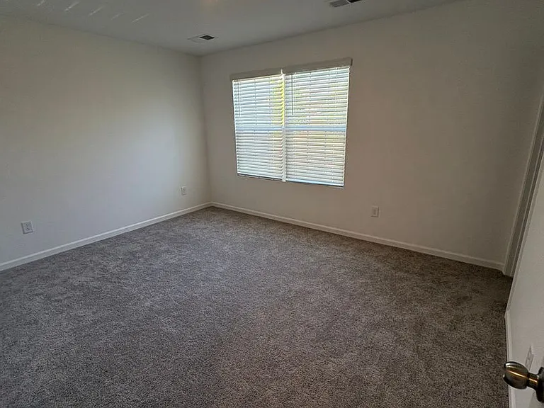 19 Napier Ct — Photo 18