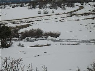 2nd image of 2107 Roush Dr