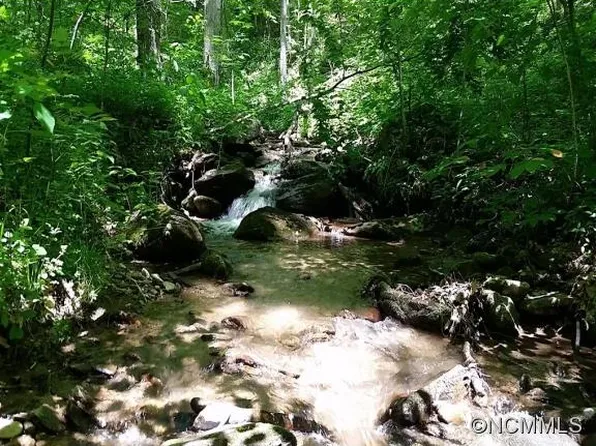 110 Martins Creek Rd, Barnardsville, NC 28709