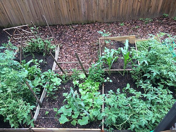 80 square foot garden