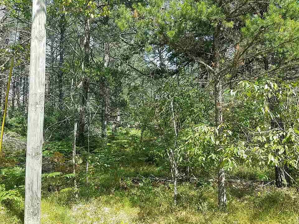 2nd image of Xxx W Jones Lake Rd