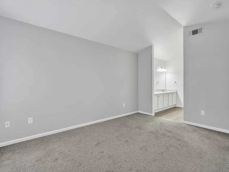 244 Delta Leaf Way — Photo 5