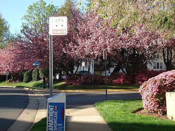 Metro bus stop at doorstep; just over a mile from Vienna Metro (Orange line)