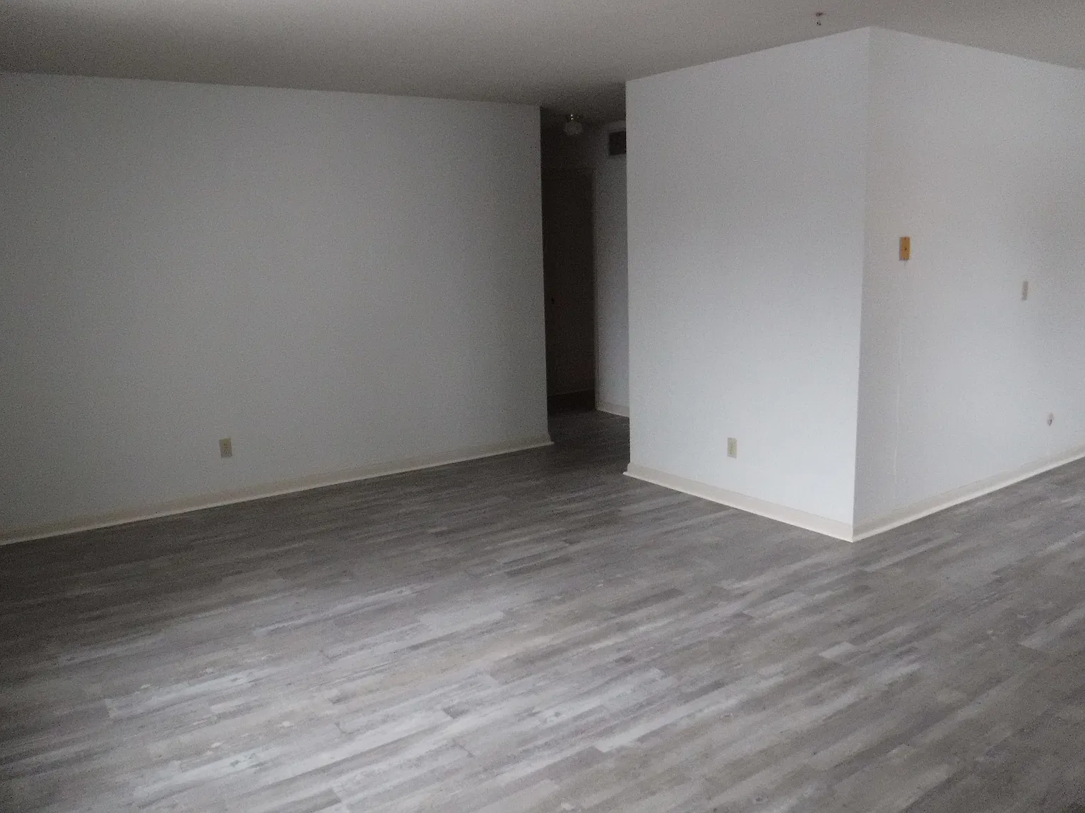 2 bed, 1000 sqft, $1,150 — Photo 4