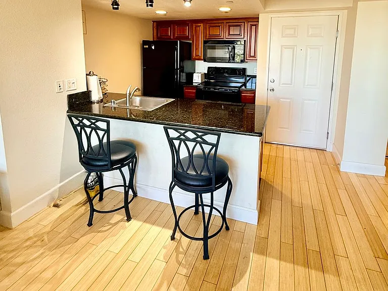 450 N Arlington Ave #1111 — Photo 5