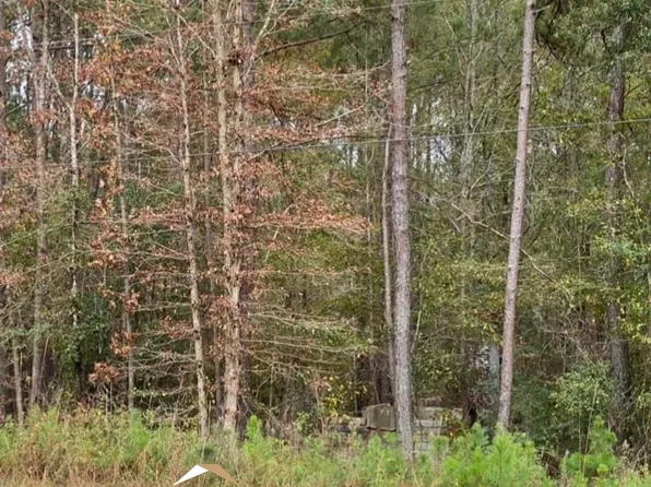 0 State Route 18 Hwy #107, West Pt, GA 31833