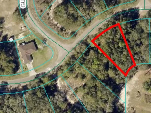 0 Guava Pass #14, Ocklawaha, FL 32179