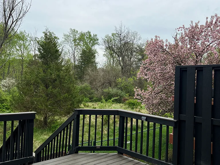 516 Meadow Hall Dr #516 — Photo 29