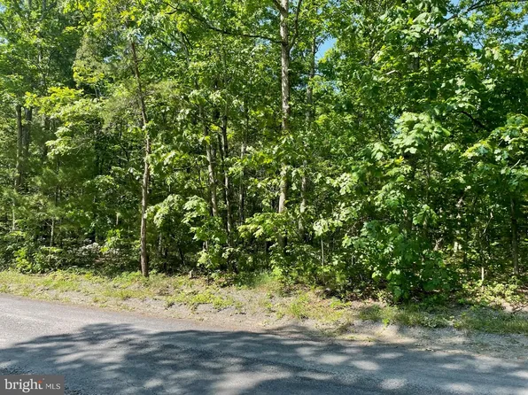 0 Sycamore Rd, Mount Jackson, VA 22842