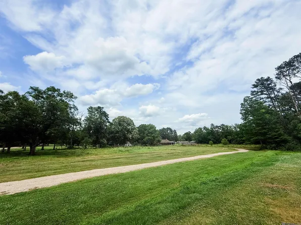29378 S Anne Dr, Walker, LA 70785