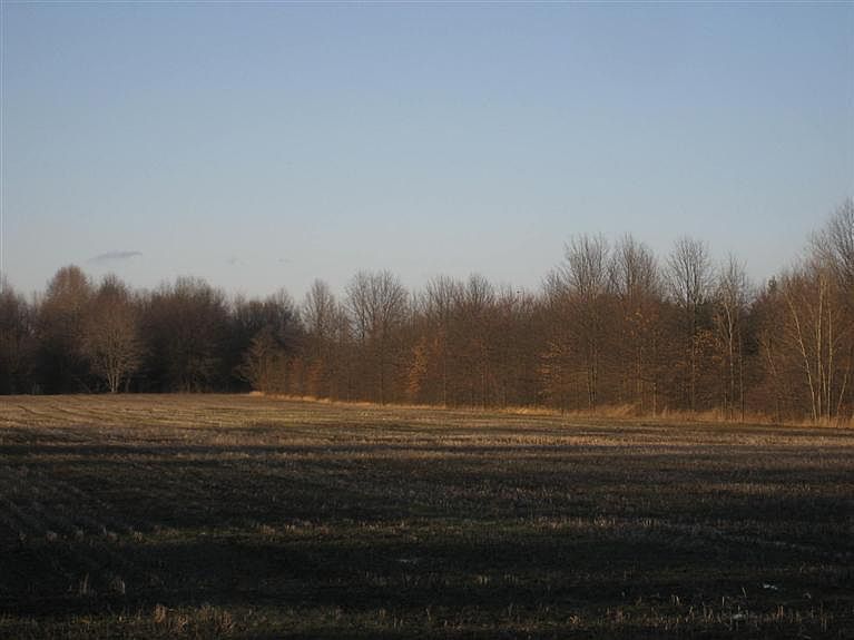 2nd image of Russell Rd