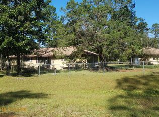171 Orchid Ave, Middleburg, FL 32068