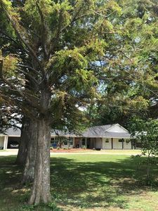 260 Longswitch Rd, Leland, MS, 38756
