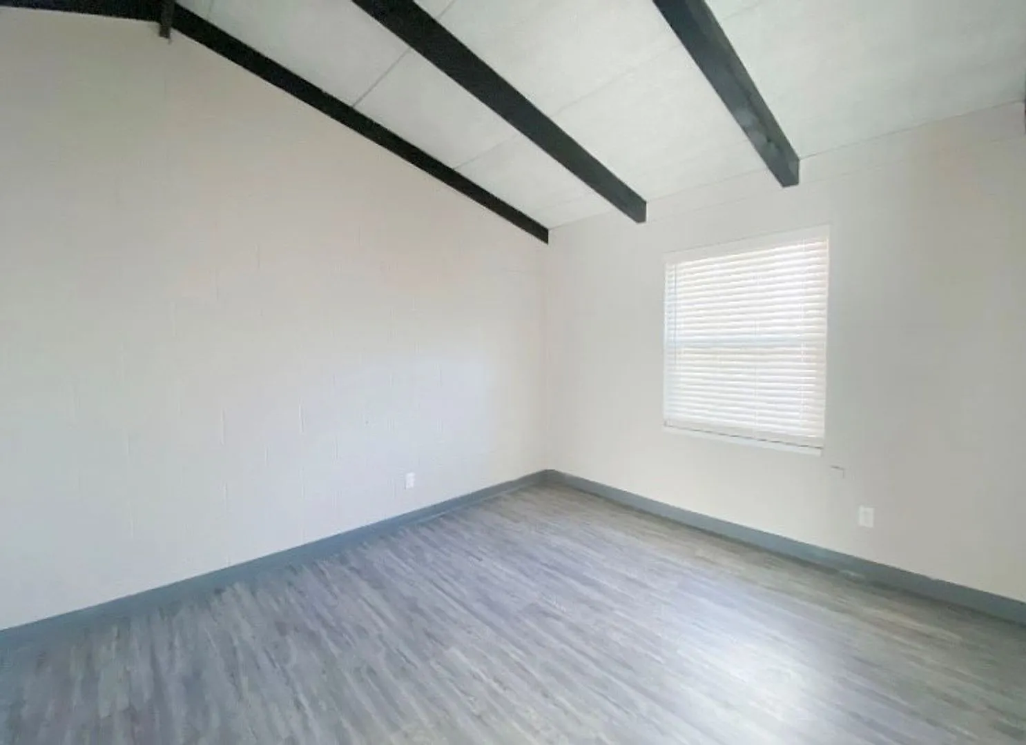 1 bed, 484 sqft, $700 — Photo 4
