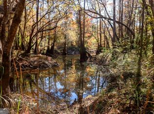 0 Twin Forks Road Martin Rd Tract 3, Statesboro, GA 30458