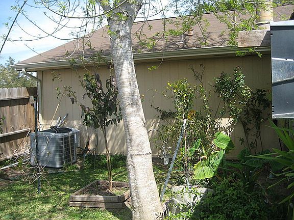 3rd image of 1902 Summer Place Dr