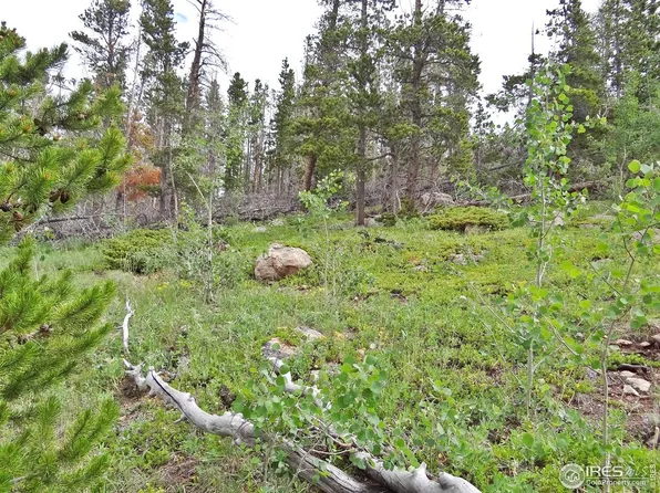 1683 Osage Trl, Red Feather Lakes, CO 80545