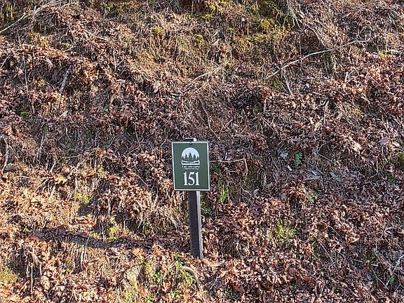 2nd image of 151 Rhondas Way