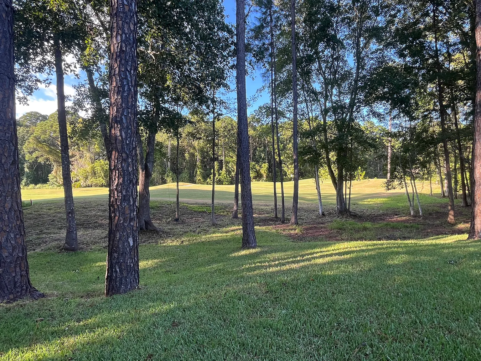 4 bed, 2115 sqft, $2,900 — Photo 3
