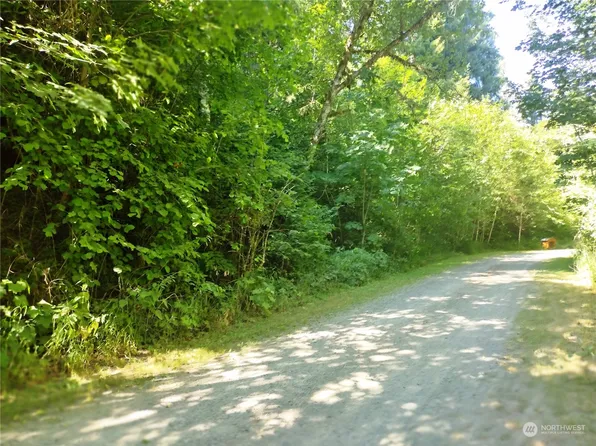 0 Seldom Road, Randle, WA 98377