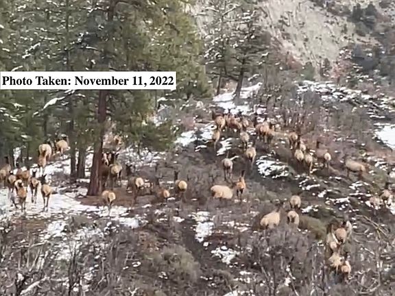 3rd image of 25203 W Us Highway 160