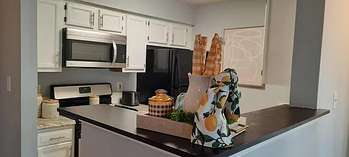8951 Town Center Cir #202 Photo 1