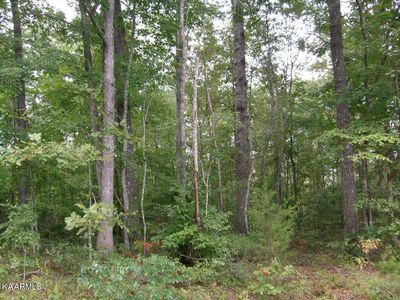 4133 Chica Rd, Crossville, TN, 38572