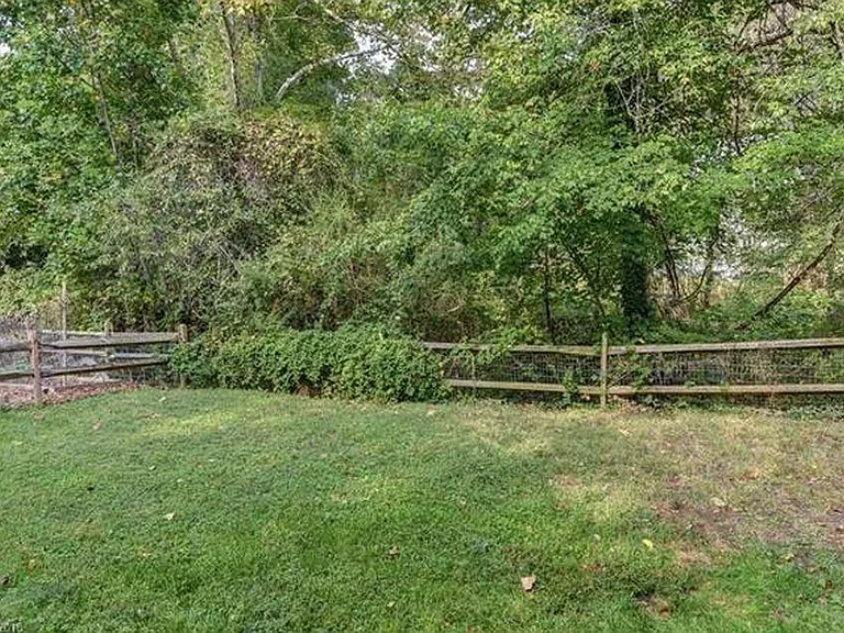 Backyard is fully fenced and has thornless blackberries that produce big, juicy berries all summer long.