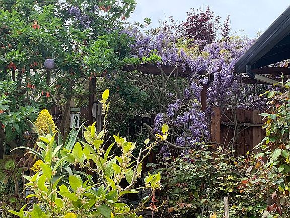 Private front courtyard