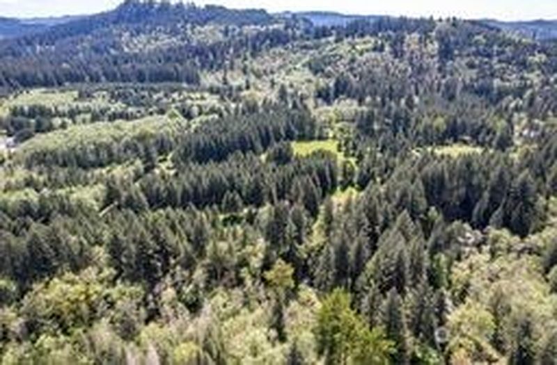 4th image of 191 Sugarpine Road