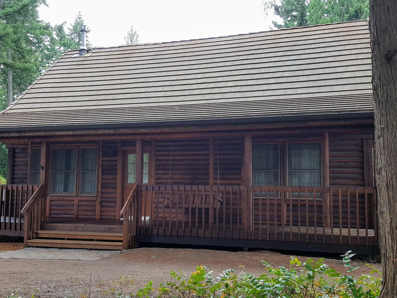 1 bed, 1310 sqft, $2,650 — Photo 4