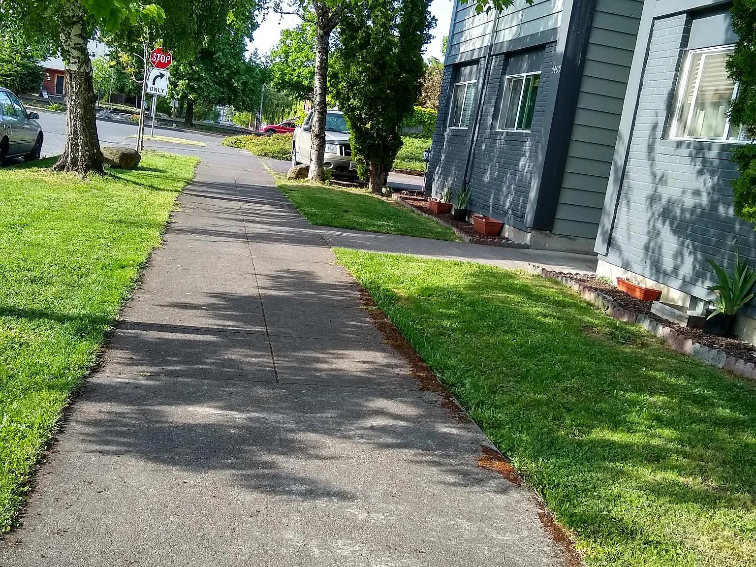 2 bed, 800 sqft, $1,450 — Photo 3