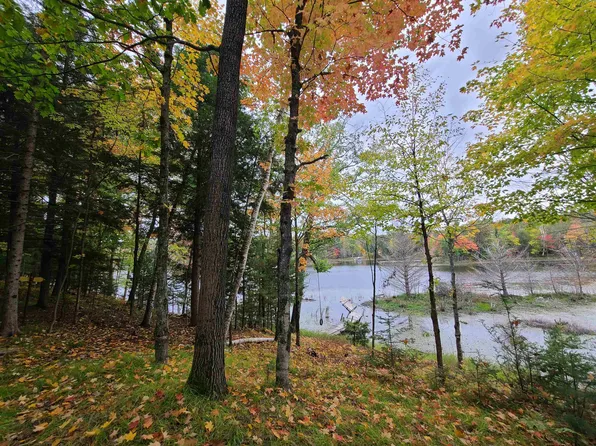 W16125 S Loop Dr, Fence, WI 54120