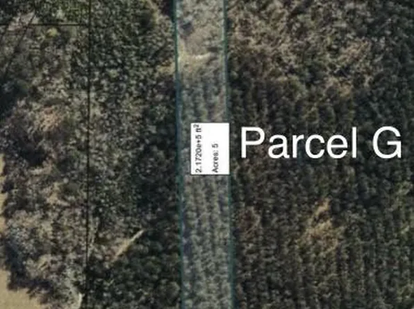 0 County Road 2270 Parcel G, Troy, AL 36079