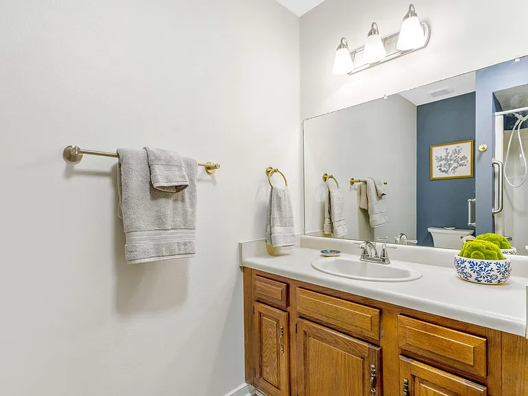 Newly painted bathroom with handlebars for extra balance.