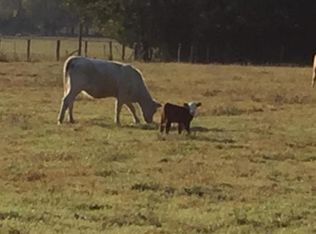 1269 Blackland Rd, Oil Trough, AR 72564