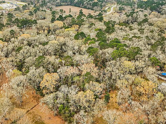 5th image of 29510 Huffman Cleveland Rd