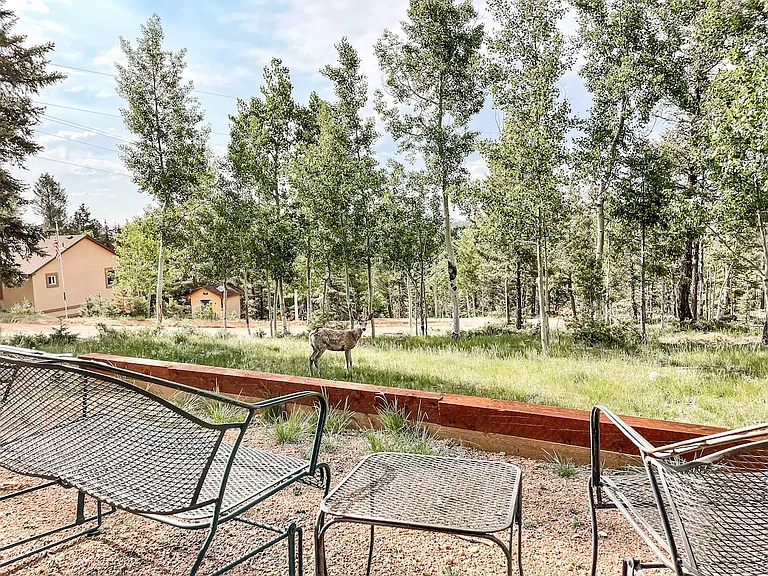 43 Mount Elbert Rd — Photo 31