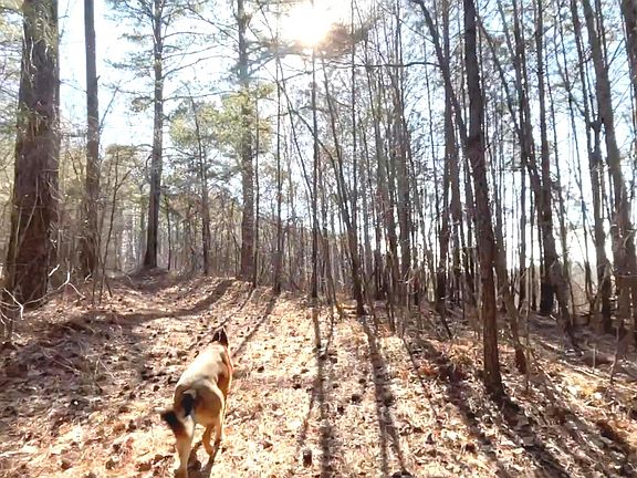 2nd image of 3 W Dry Pond Rd Lot 3