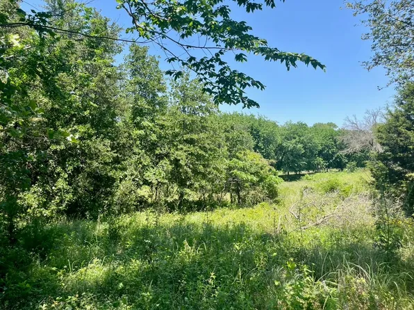 LOT 89 W Kerry Ct, Poolville, TX 76487