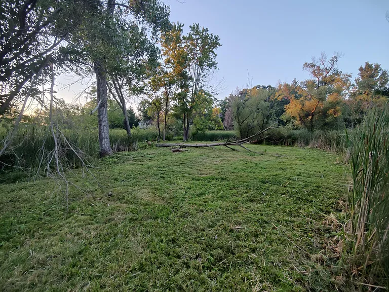 Peninsula / nature sanctuary