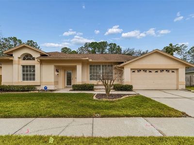 9309 ROCKROSE DRIVE, Tampa, FL, 33647
