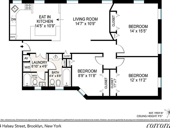 2nd image of 474 Halsey St #6