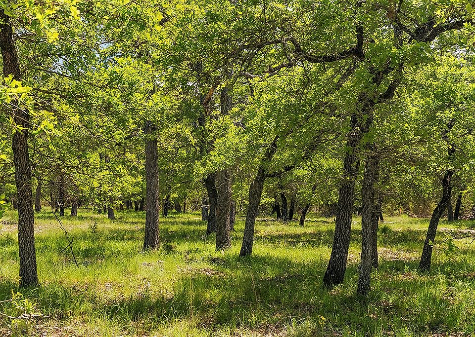 1st image of LOT 6 Mystic Oaks Trl