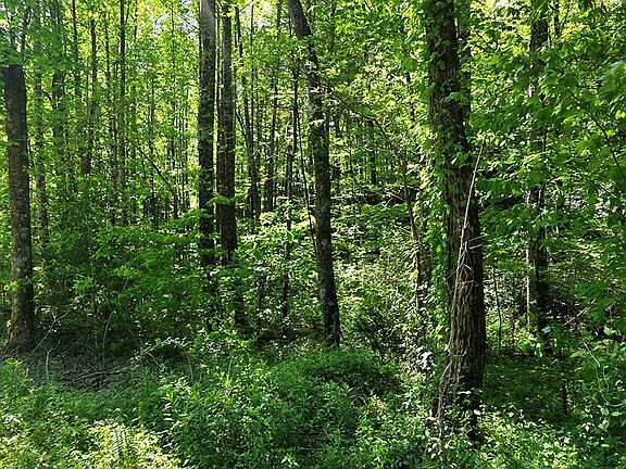 4th image of 0 Vincent Colvin Rd