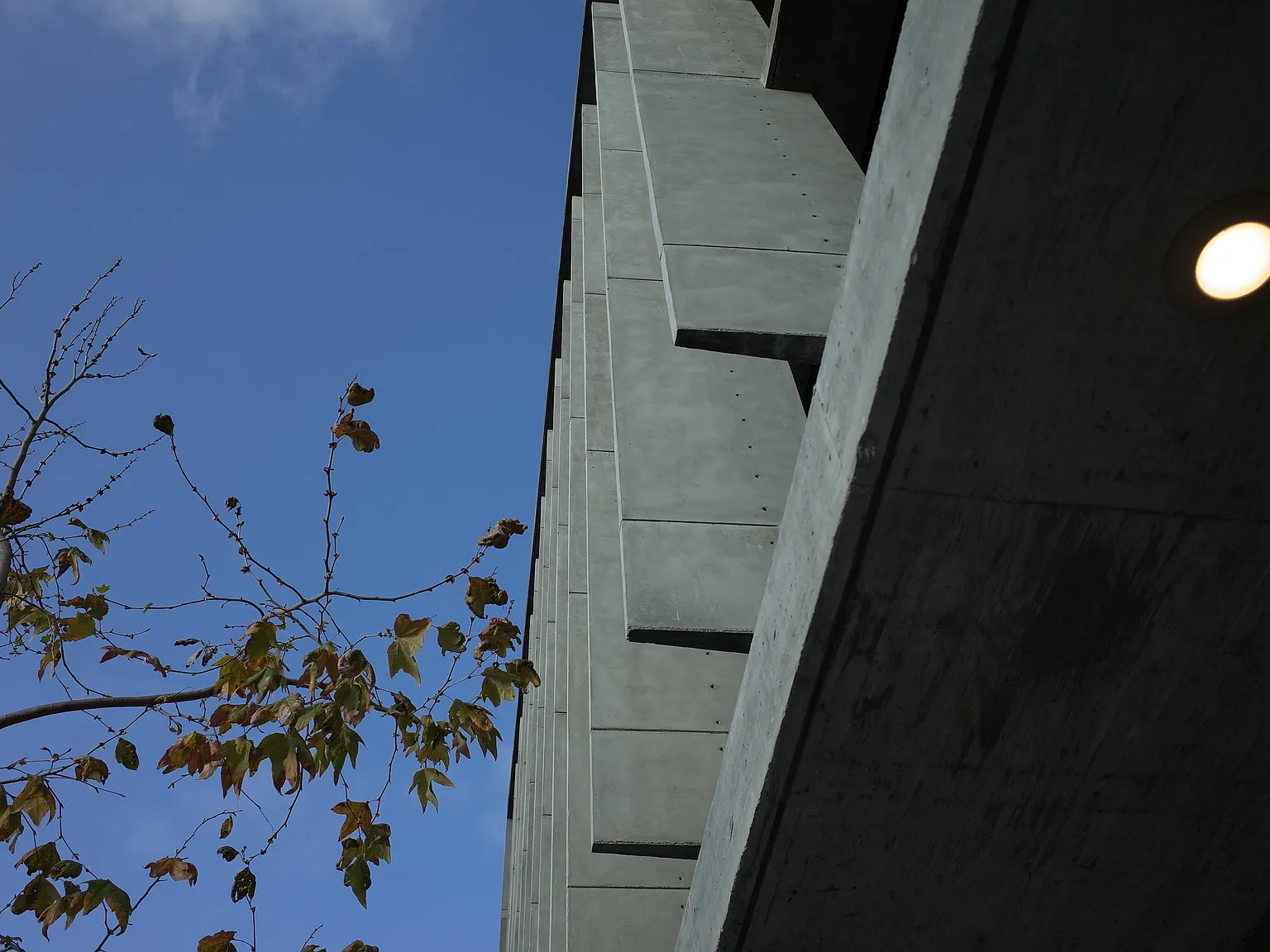 The Park — Photo 3