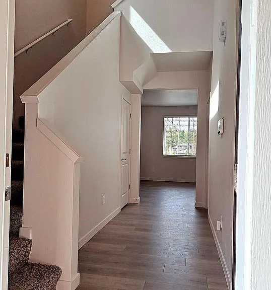 Skansie Pointe — Photo 73