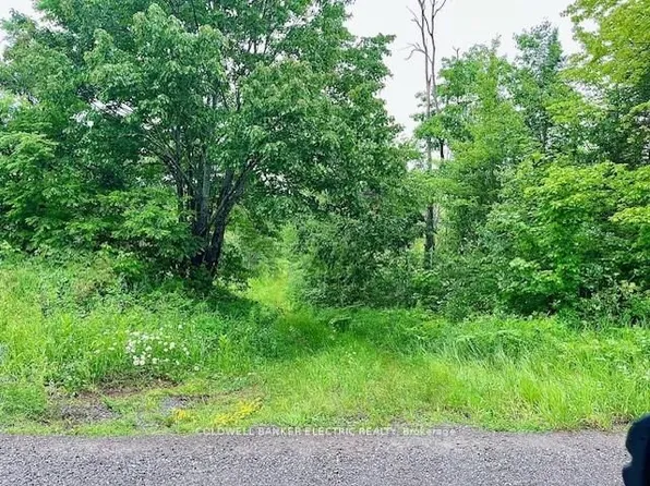 0 Lasswade Rd, North Kawartha, ON K0L 1A0